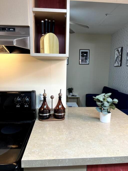 Midtown Flat Near Overton Park & Downtown Мемфис Экстерьер фото